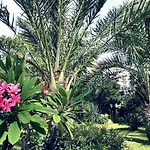 Marrone - Relais - Daire Marsala