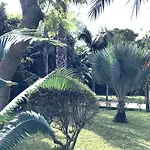 Marrone - Relais -