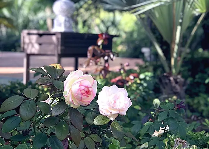 Marrone - Relais - Apartman *