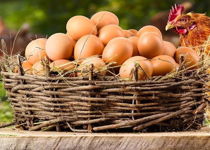 Marrone - Relais - Apartman *