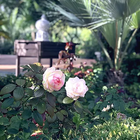 Marrone - Relais - アパート *