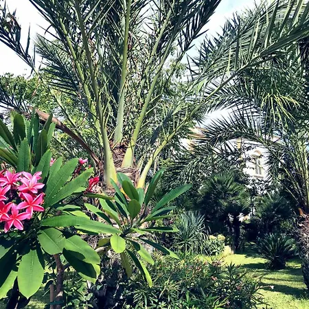 Marrone - Relais - アパート マルサラ