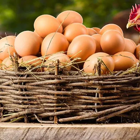 Marrone - Relais - アパート *